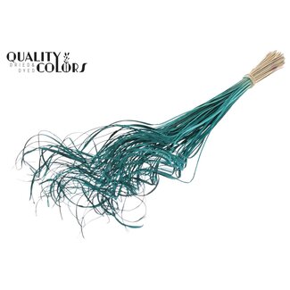 QC Dried Palm Leaf Vein | Curly Ting Ting | Colour: Turquoise | Length ± 70 centimetres | 100 stems per bunch | Per bunch