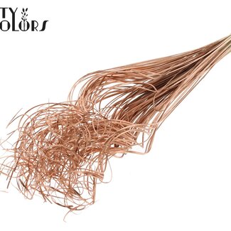 QC Gedroogd Palmblad Nerf | Curly Ting Ting | Kleur: Koperkleurig | Lengte ± 70 centimeter | 100 takken per bos | Per bos
