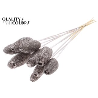 QC Mini Loofah Sponge on stick | Colour: Champagne | Loofah Stick | Length ± 50 centimetres | 10 sticks per bunch