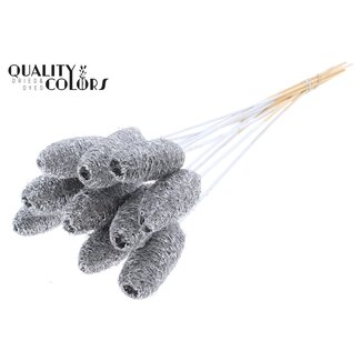 QC Mini Loofah Sponge on stick | Colour: Silver | Loofah Plant Stake | Length ± 50 centimetres | 10 stakes per bunch