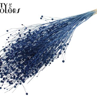 QC Gedroogd Gebleekt Lino Vlas | Kleur: Blauw | Linum Droogbloemen | Lengte ± 70 centimeter | Gewicht 100 gram | Per bos
