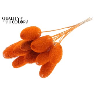 QC Mini Loofah Sponge on stick | Colour: Orange | Loofah Stick | Length ± 50 centimetres | 10 sticks per bunch