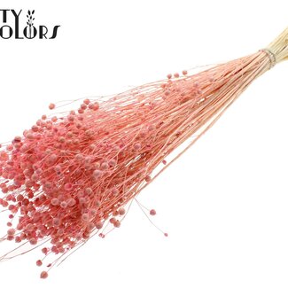 QC Getrockneter Gebleichter Lino Flachs | Farbe: Frosted Rosa | Linum Trockenblumen | Länge ± 70 Zentimeter | Gewicht 100 Gramm | Pro Bund