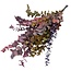 Mélange d'automne Eucalyptus Cinerea | Préservé | Longueur ± 65 centimètres | Poids ± 150 grammes