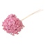 Pink Bleached Hydrangea Cabeza | Preserved Hydrangea | Length ± 70 grams | Per piece