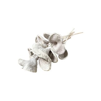 Casa Alegria Badam on stem | Colour: Bleached White | Length of stick ± 40 centimetres | Per 10 stems