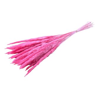 Casa Alegria Roze Fluffy Pampas pluimpjes | Lengte ± 60 centimeter | Per 20 takken