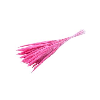 Casa Alegria Pink Fluffy Pampas plumes | Length ± 60 centimetres | Per 20 stems