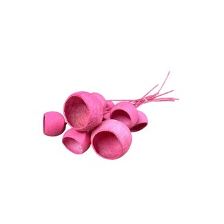 Casa Alegria Getrocknete Bellgums | Farbe: Rosa | Bell Cup Steckstab | Länge ± 40 Zentimeter | 10 pro Bund