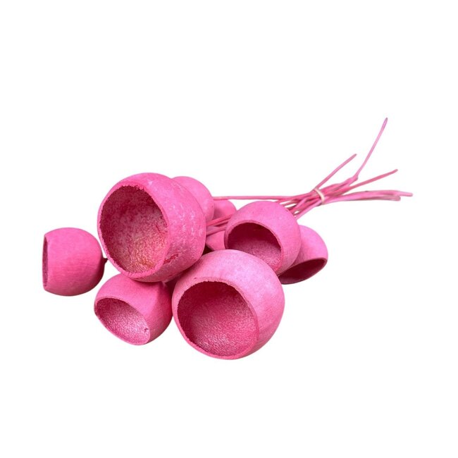 Gedroogde Bellgums | Kleur: Roze | Bell Cup Bijsteker | Lengte ± 40 centimeter | 10 per bos