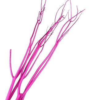 Casa Alegria Black Dried Mitsumata Branches | Length ± 115 centimetres | 3 branches per bunch