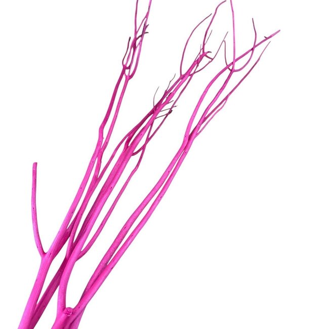 Zwarte Gedroogde Mitsumata Takken | Lengte ± 115 centimeter | 3 takken per bos