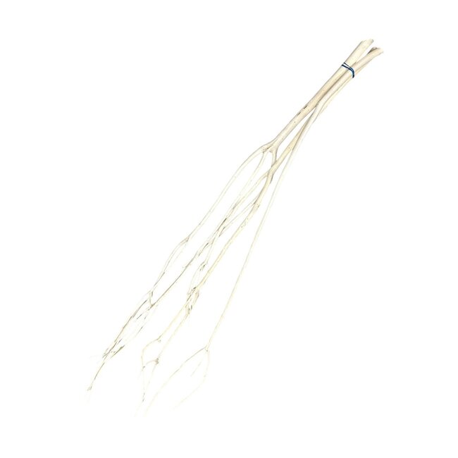 White Bleached Dried Mitsumata Branches | Length ± 115 centimetres | 3 branches per bunch