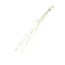 White Bleached Dried Mitsumata Branches | Length ± 115 centimetres | 3 branches per bunch