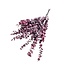 Purple-Blue Eucalyptus Cinerea | Preserved | Length ± 65 centimetres | Weight ± 150 grams