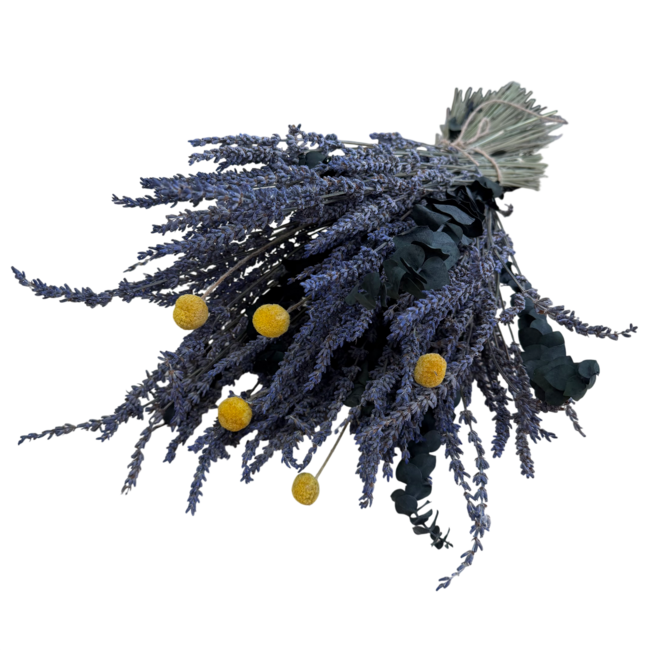 Boeket droogbloemen Especially for You | Kleur: Geel | Lengte ± 45 centimeter | Gewicht ± 100 gram