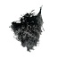 Zwarte Broom Bloom droogbloemen | Lengte ± 55 centimeter | Gewicht 125 gram
