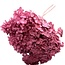 Dark Pink Bleached Hydrangea Cabeza | Preserved Hydrangea | Weight ± 70 grams | Per piece