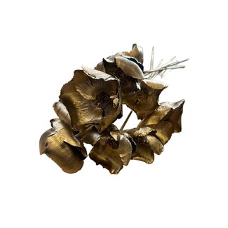 Casa Alegria Goudkleurige Palm Cup droogbloemen | Lengte ± 60 centimeter | Per 10 takken