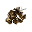 Golden Palm Cup dried flowers | Length ± 60 centimetres | Per 10 stems