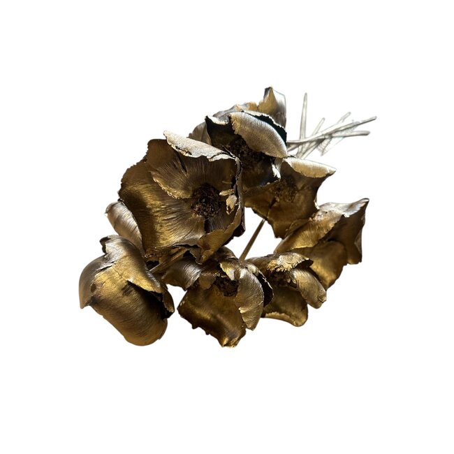 Goldfarbene Palm Cup Trockenblumen | Länge ± 60 Zentimeter | Pro 10 Zweige