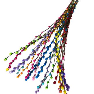 Dutch Dried Regenbogen-Mix Salix Weidenkätzchen Trockenblumen | Länge ± 70 Zentimeter | Pro 20 Zweige