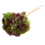 Naturel groen rode Hydrangea | Gepreserveerde Hortensia | Lengte ± 50 centimeter | Per 2 stuks