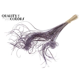 QC Getrocknetes Palmblatt Ader | Curly Ting Ting | Farbe: Frosted Milk Lila | Länge ± 70 Zentimeter | 100 Zweige pro Bund | Pro Bund