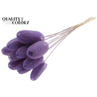 QC Mini Loofah Sponge on stick | Colour: Milka Purple | Loofah Stick | Length ± 50 centimetres | 10 sticks per bunch