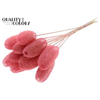 QC Mini Loofah Sponge on stick | Colour: Light Pink | Loofah Stick | Length ± 50 centimetres | 10 sticks per bunch