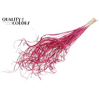 QC Gedroogd Palmblad Nerf | Curly Ting Ting | Kleur: Kerskleurig | Lengte ± 70 centimeter | 100 takken per bos | Per bos