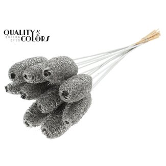 QC Mini Luffa Spons op stok | Kleur: Platinakleurig | Loofah Bijsteker | Lengte ± 50 centimeter | 10 bijstekers per bos