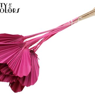 QC Palmier Séché en Forme de Cœur | Couleur : Cerise | Feuilles de Palmier en Forme de Cœur | Longueur ± 45 centimètres | 10 tiges par bouquet | Par bouquet