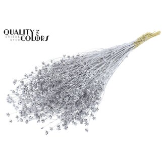 QC Gedroogd Lino Vlas | Kleur: Zilverkleurig met Glitter | Linum Droogbloemen | Lengte ± 60 centimeter | Gewicht 150 gram | Per bos