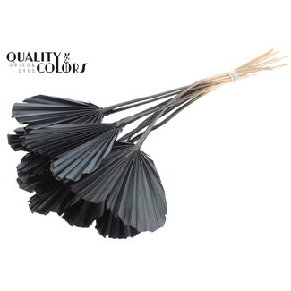 QC Gedroogde Palm Spear Heart | Kleur: Zwart | Palmbladeren in Hartvorm | Lengte ± 45 centimeter | 10 takken per bos | Per bos