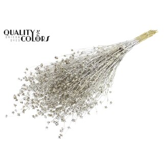 QC Gedroogd Lino Vlas | Kleur: Platinakleurig met Glitter | Linum Droogbloemen | Lengte ± 50 centimeter | Gewicht 150 gram | Per bos