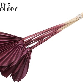 QC Gedroogde Palm Spear Heart | Kleur: Bordeauxrood | Palmbladeren in Hartvorm | Lengte ± 45 centimeter | 10 takken per bos | Per bos