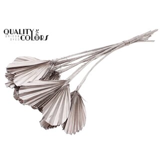 QC Getrocknete Palm Spear Heart | Farbe: Champagnerfarben | Palmblätter in Herzform | Länge ± 45 Zentimeter | 10 Zweige pro Bund | Pro Bund