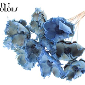 QC Dried Bleached Palm Cup on stem | Colour: Frosted Light Blue | Length ± 50 centimetres | 10 stems per bunch