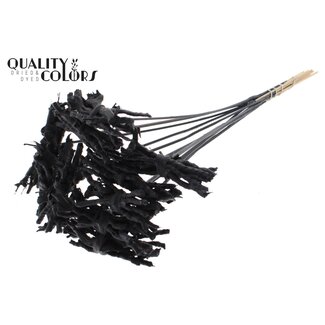 QC Decorative Coco Rose Posy on Stick | Colour: Black | Coco Rose Posy Stick | Stick Length ± 50 centimetres | 10 sticks per bunch