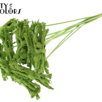 QC Decorative Coco Rose Posy on stick | Colour: Light Green | Coco Rose Posy Stick | Stick length ± 50 centimetres | 10 sticks per bunch