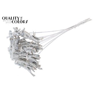 QC Bouquet décoratif Coco Rose sur tige | Couleur : Blanc | Coco Rose Posy Piquet | Longueur du piquet ± 50 centimètres | 10 piquets par bouquet