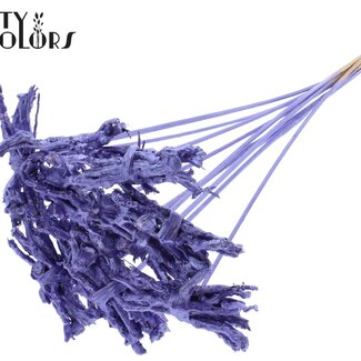 QC Bouquet décoratif Coco Rose sur tige | Couleur : Violet Métallique | Coco Rose Posy Piquet | Longueur du piquet ± 50 centimètres | 10 piquets par bouquet