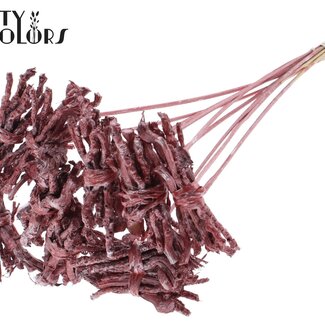 QC Decoratieve Coco Rose Boeketje op stok | Kleur: Metallic Rood | Coco Rose Posy Bijsteker | Lengte bijsteker ± 50 centimeter | 10 bijstekers per bos