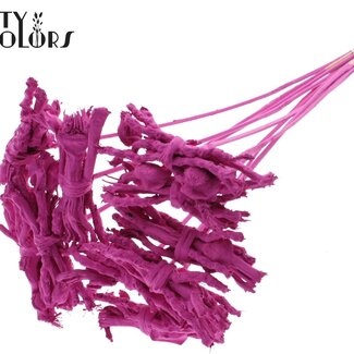 QC Bouquet décoratif Coco Rose sur tige | Couleur : Cerise | Coco Rose Posy Piquet | Longueur du piquet ± 50 centimètres | 10 piquets par bouquet