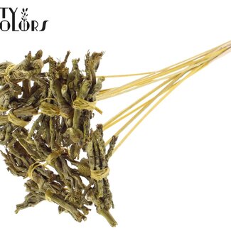 QC Bouquet décoratif Coco Rose sur tige | Couleur : Jaune Métallique | Coco Rose Posy Pique-fleurs | Longueur du pique-fleurs ± 50 centimètres | 10 piques-fleurs par bouquet