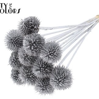 QC Leeuwenstaart op steel | Kleur: Zilverkleurig | Leonotis Leonurus Bijsteker | Lengte ± 50 centimeter | 10 bijstekers per bos | Per bos