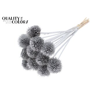 QC Leeuwenstaart op steel | Kleur: Zilverkleurig | Leonotis Leonurus Bijsteker | Lengte ± 50 centimeter | 10 bijstekers per bos | Per bos