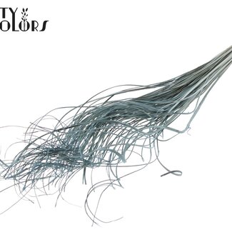 QC Gedroogd Palmblad Nerf | Curly Ting Ting | Kleur: Frosted Lichtblauw | Lengte ± 70 centimeter | 100 takken per bos | Per bos