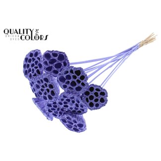 QC Dried Lotus Pods on Stick | Colour: Milka Purple | Lotus Diameter 5 - 7 centimetres | Stick Length ± 50 centimetres | 10 sticks per bunch